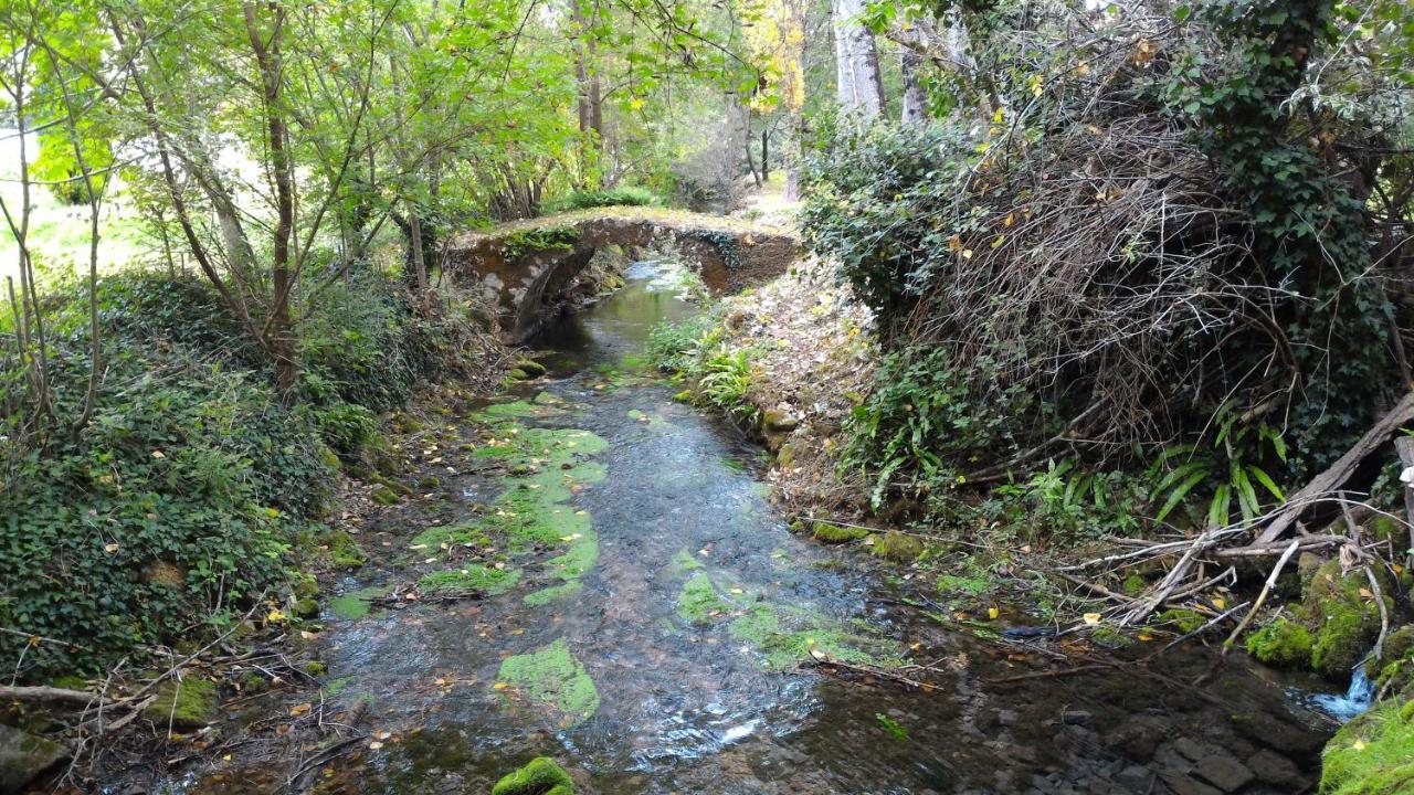 Saint-Vincent-Rive-dʼOltMaison Sur Le Lot住宿加早餐旅馆 外观 照片